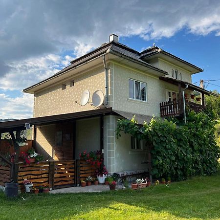 Casa Danut Villa Vidra  Buitenkant foto